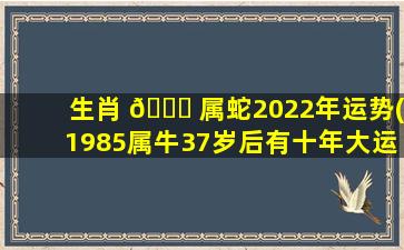 生肖 💐 属蛇2022年运势(1985属牛37岁后有十年大运 🐕 )
